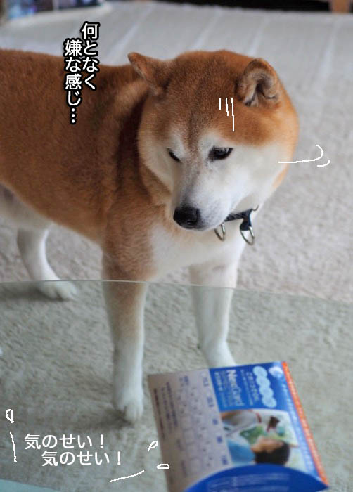 10日ブログ８