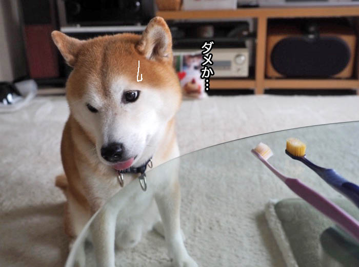 2日夜ブログ５