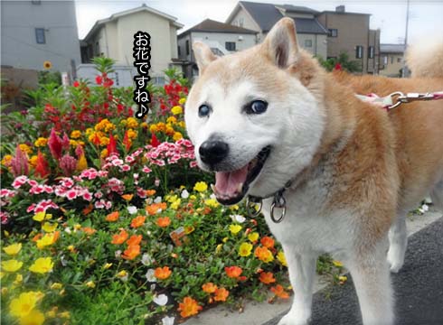 24日ブログ2.jpg