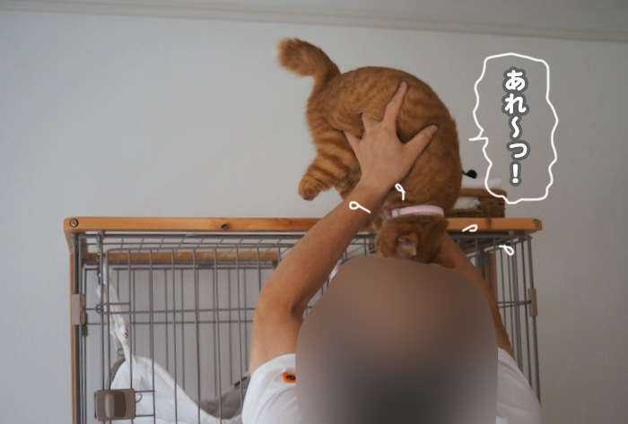 3日夕ブログ９