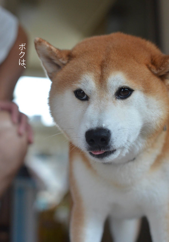 11日ブログ9