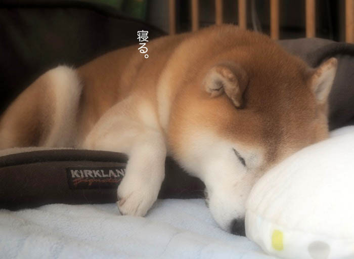 7日ブログ７