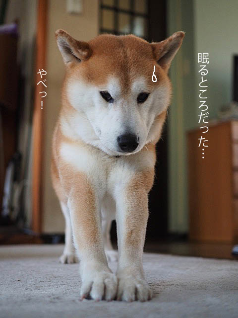31日ブログ７