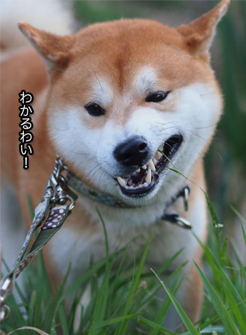 20日ブログ16.jpg