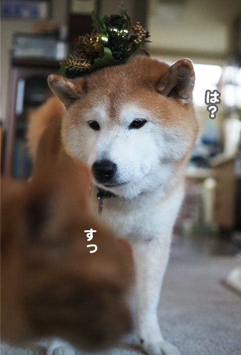 6日夕ブログ７