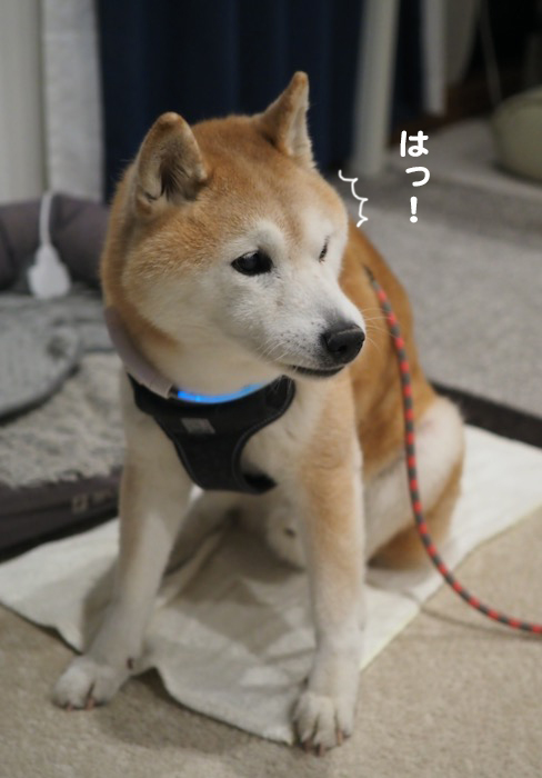 27日夜ブログ２
