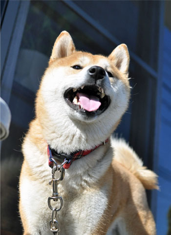 4日ブログ10.jpg