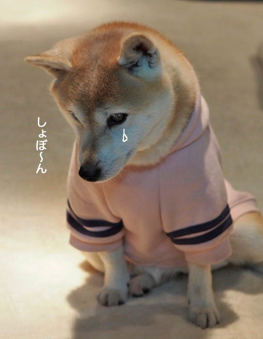 17日夜ブログ１２