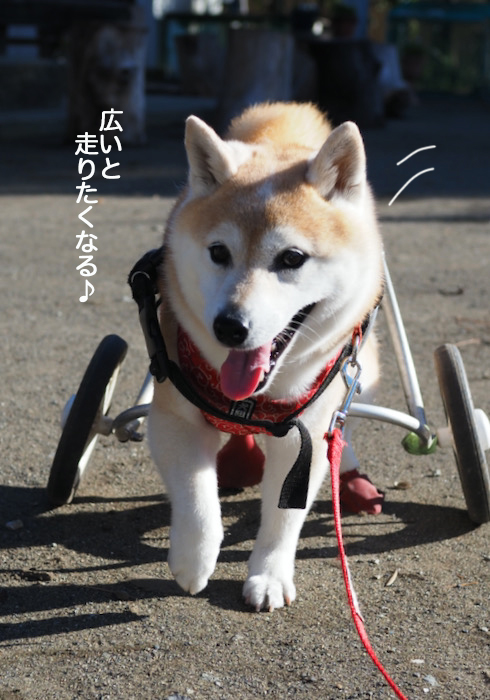 21日夜ブログ４