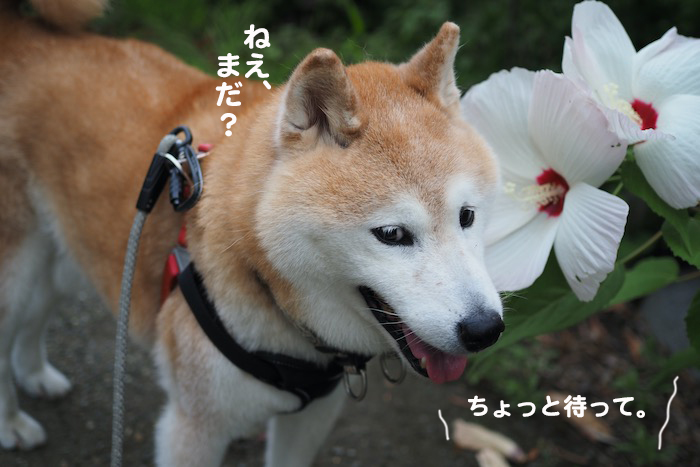 14日ブログ3