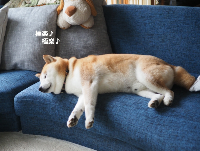 8日ブログ３