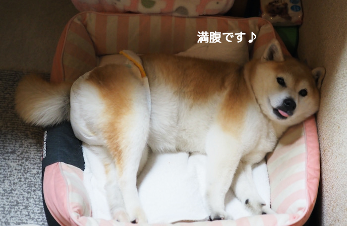 15日ブログ２