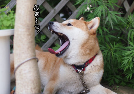 19日ブログ９.jpg
