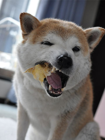24日ブログ13.jpg