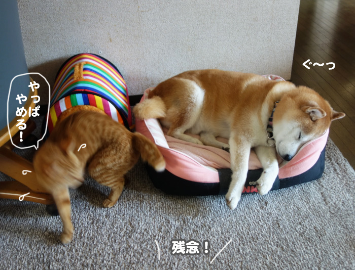 4日ブログ３