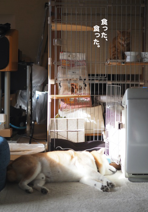 18日ブログ３