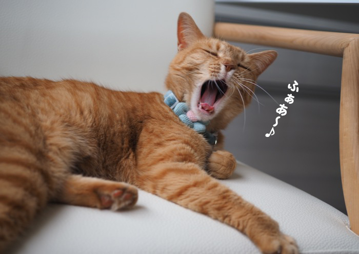 30日夕ブログ５