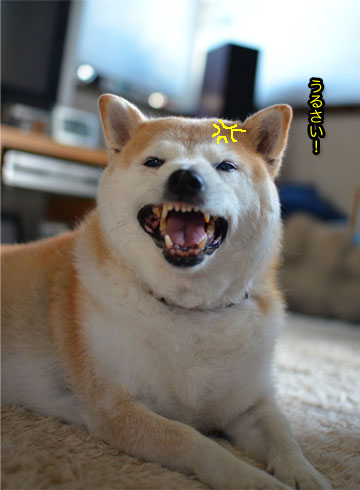 21日ブログ8.jpg