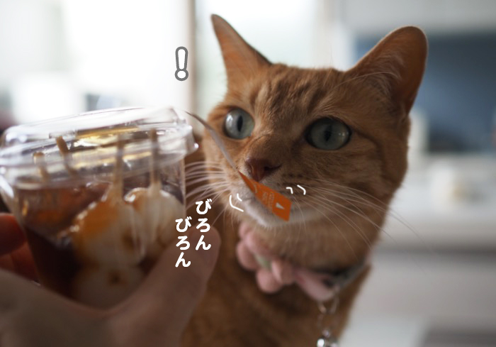 6日夕ブログ３