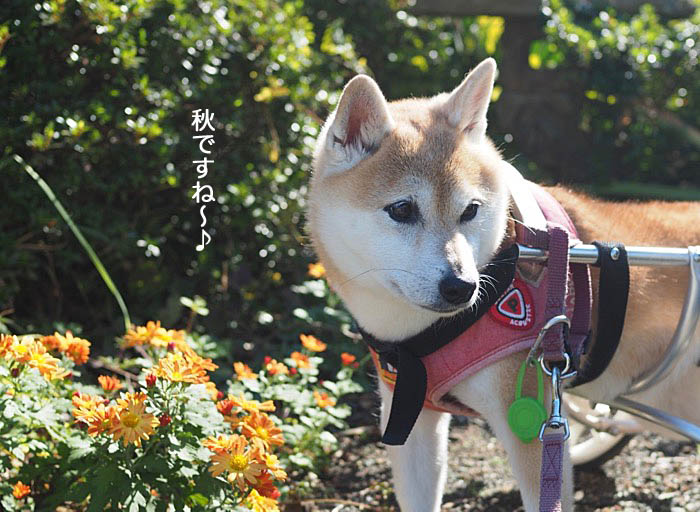 6日夜ブログ２