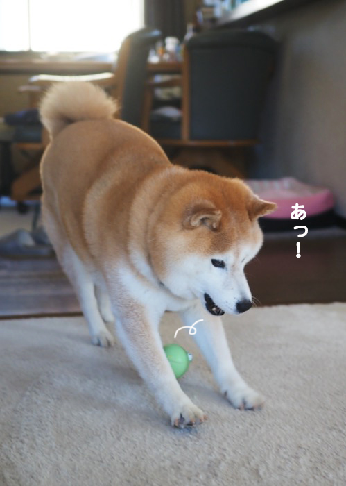 26日夕ブログ６