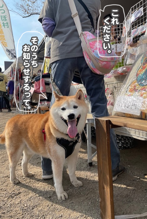 5日夕ブログ７