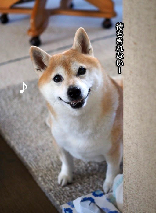 9日ブログ3