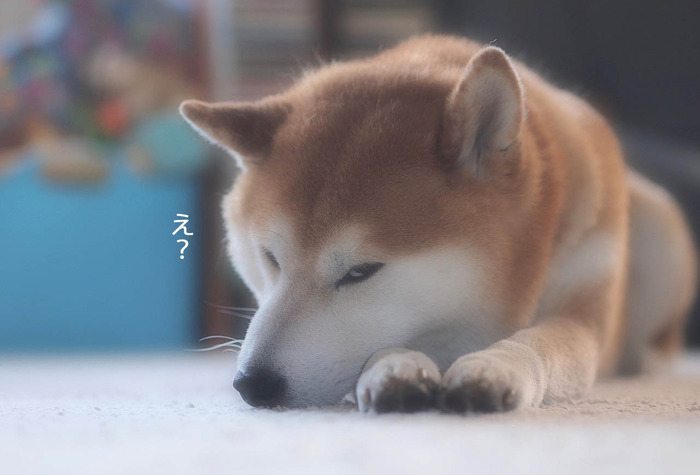 26日ブログ5