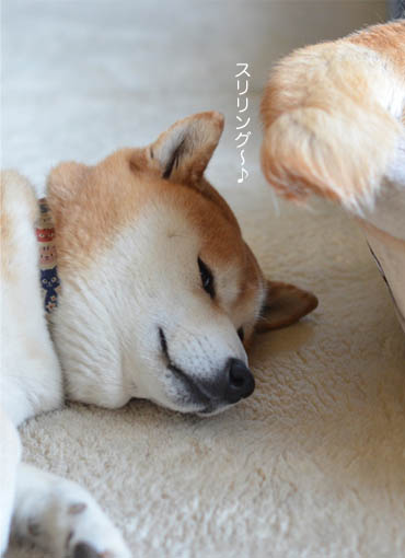 26日ブログ9.jpg