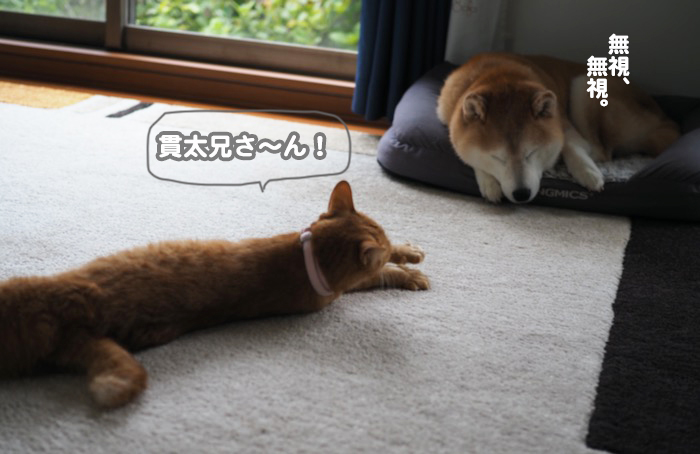19日夕ブログ７