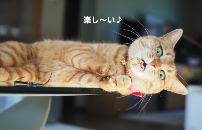 4日夕ブログ１２