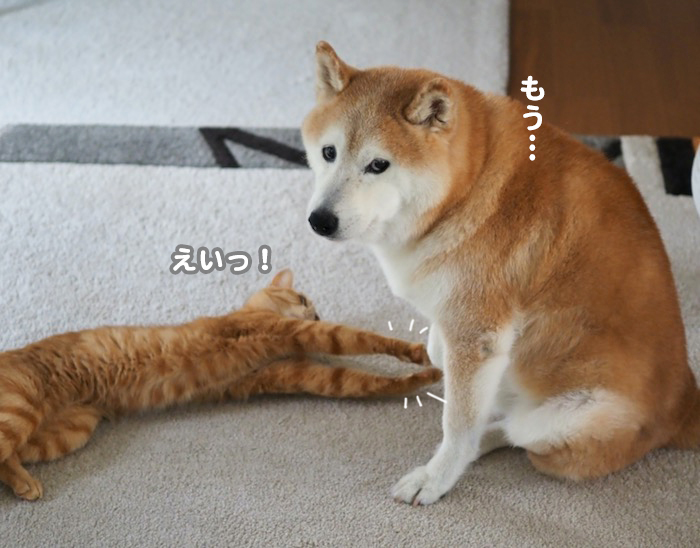 20日夕ブログ５