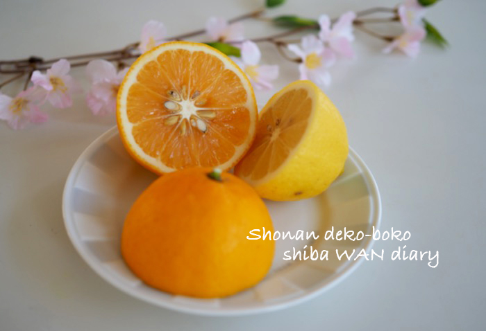 20日ブログ5