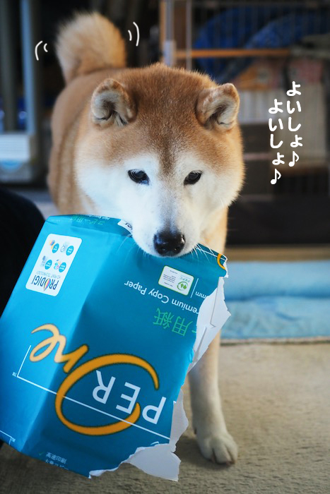 28日夕ブログ４