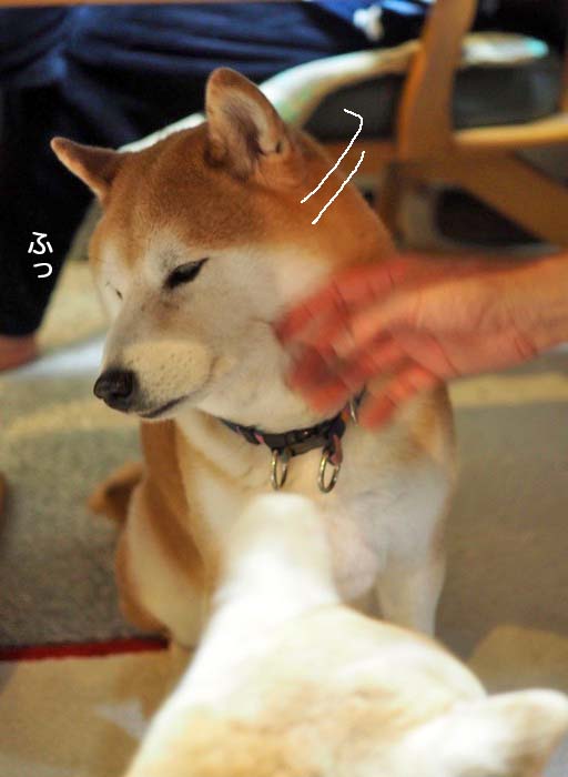 7日夜ブログ６