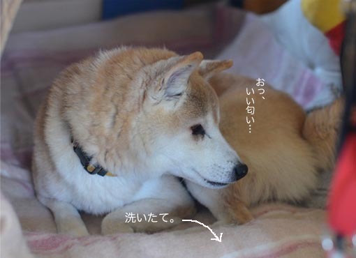 62f13a5f.jpg