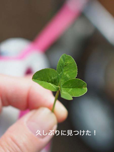 14日午後ブログ４