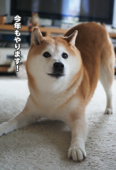 13日ブログ４