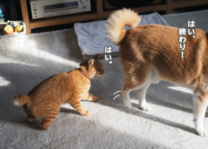 24日夕ブログ１４