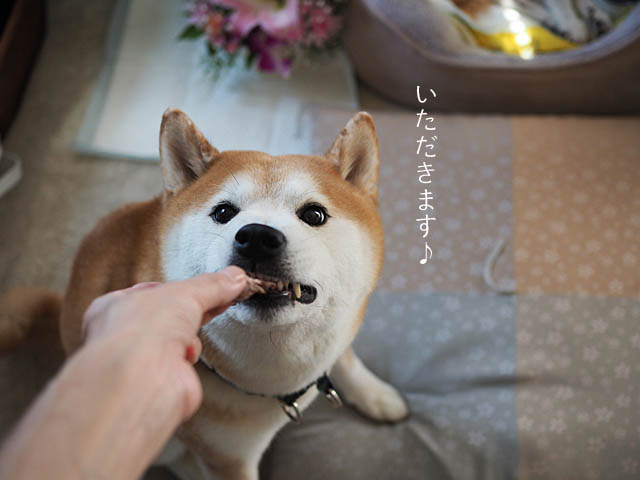 19日ブログ3