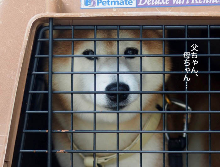 24日ブログ２