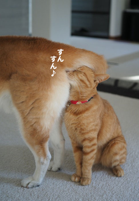23日ブログ6