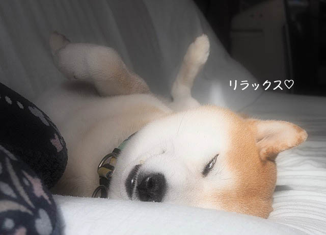 7日午後ブログ3