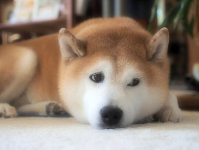 18日夜ブログ３
