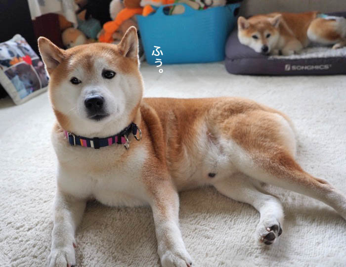 31日ブログ１０
