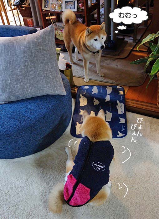 11日ブログ６