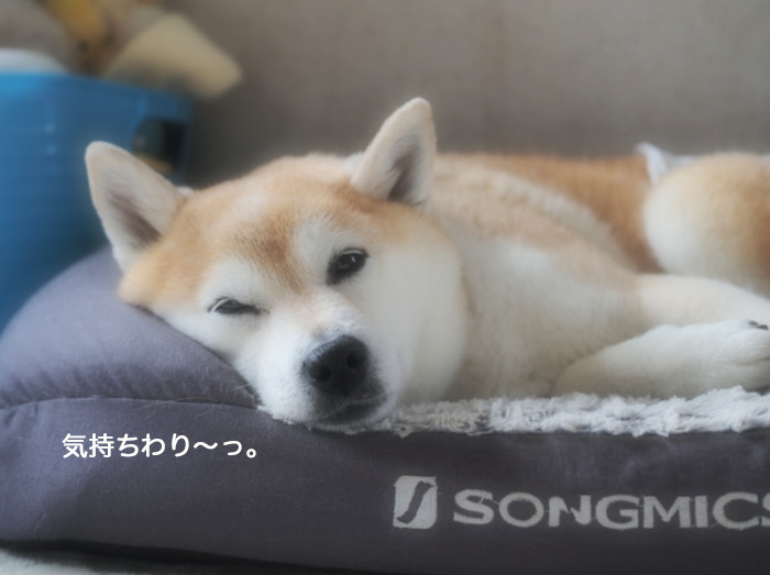 19日ブログ１