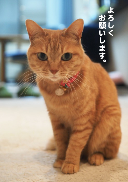 27日午前ブログ３
