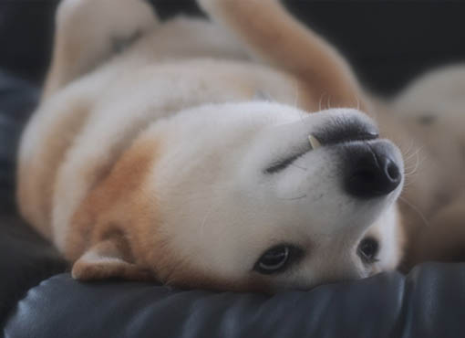 23日ブログ5.jpg