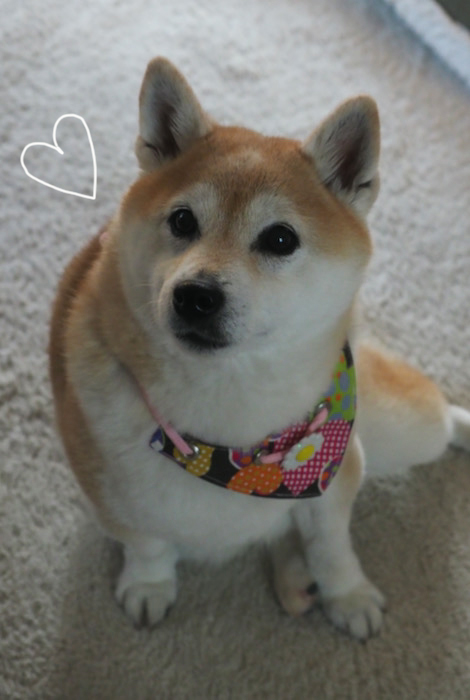 13日夜ブログ6